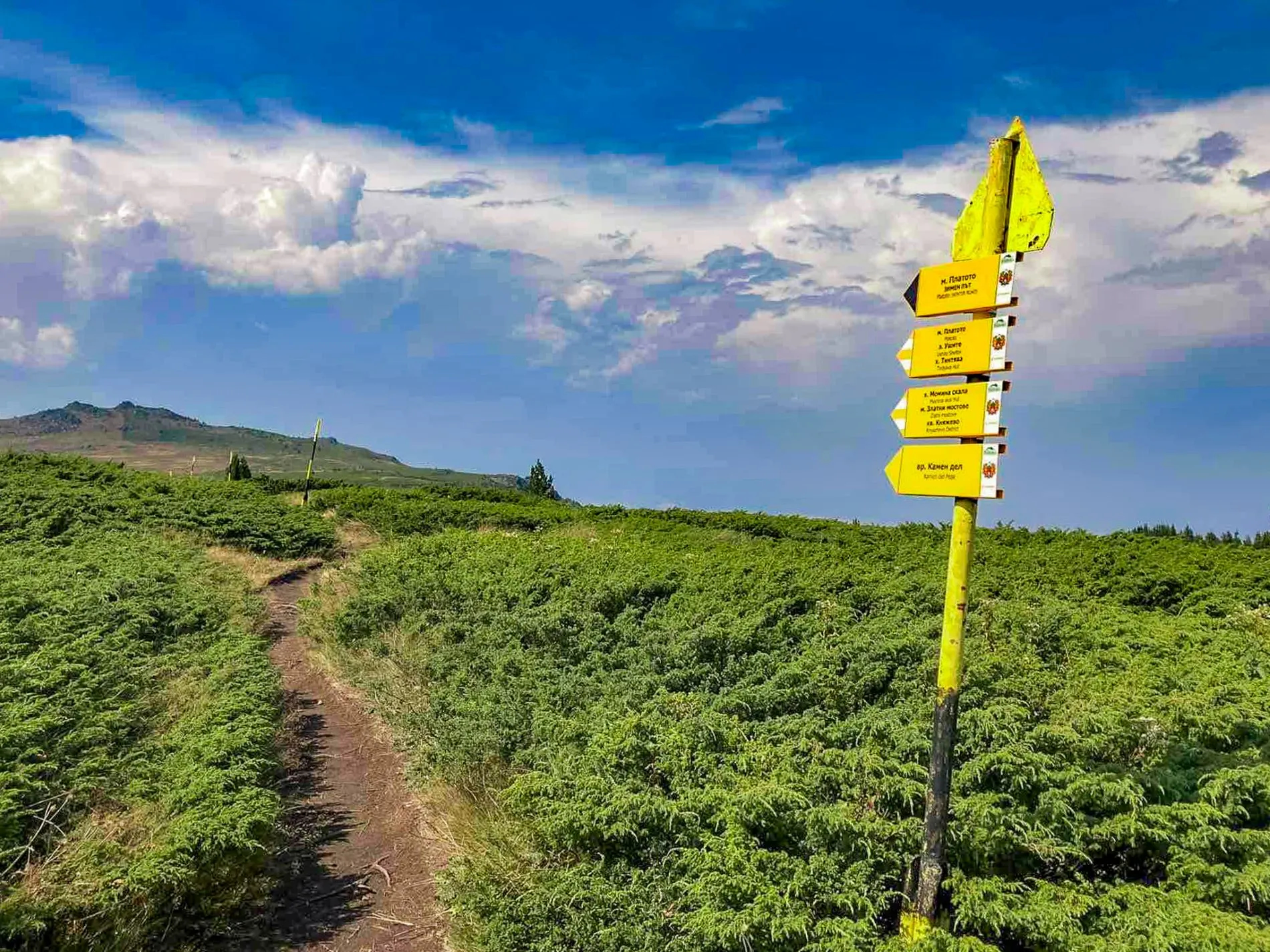 Amusnet - Renewing Our Beloved Vitosha