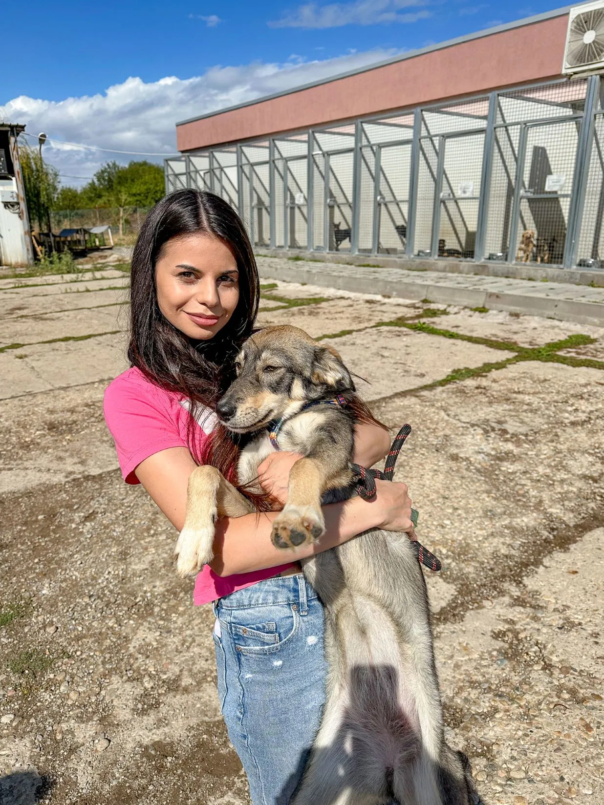 Amusnet: A Day of Support for Sofia’s Stray Dogs