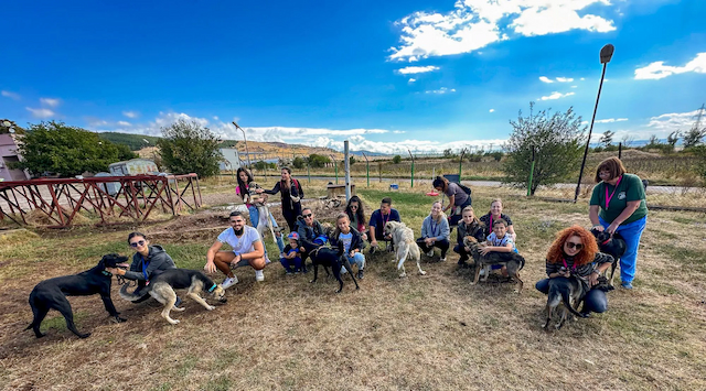 A Day of Support for Sofia’s Stray Dogs