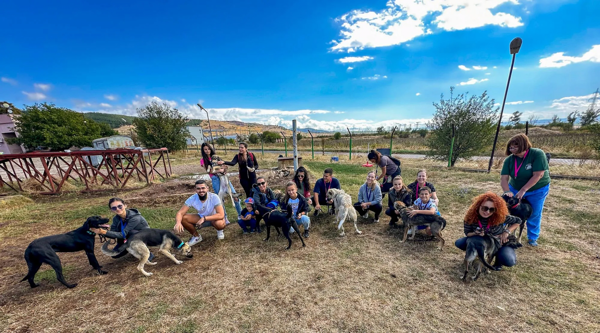 A Day of Support for Sofia’s Stray Dogs